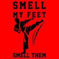 Smell My Feet Funny Taekwondo Santa Hat thumb 1