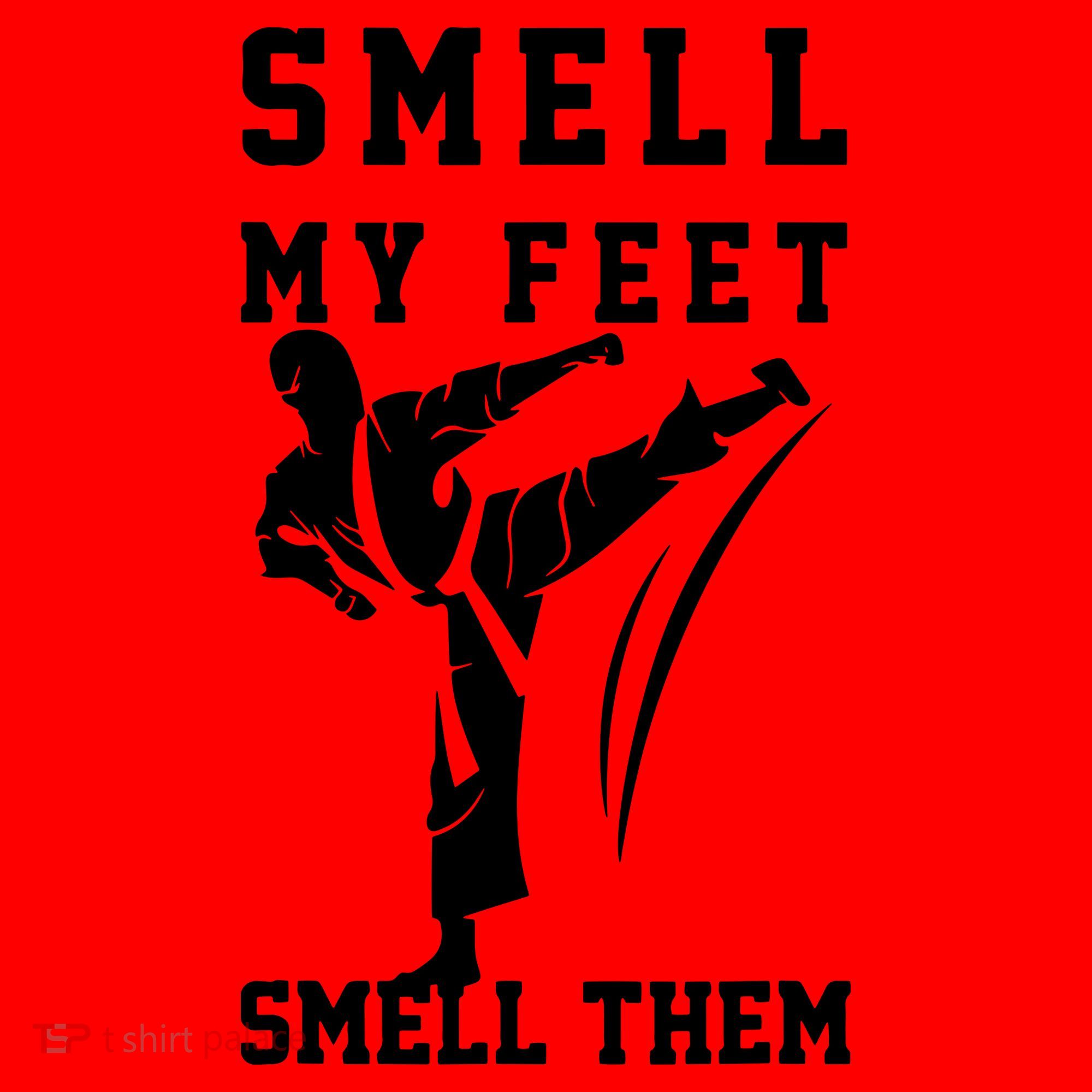Smell My Feet Funny Taekwondo Santa Hat