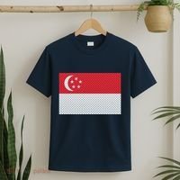 Singapore Metal Flag Shield T-Shirt thumb 2