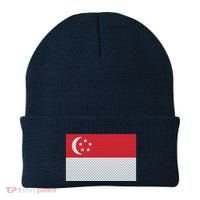 Singapore Metal Flag Shield Beanie thumb 0