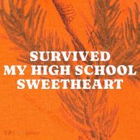 Survived My High School Sweetheart Funny Aesthetic Kati Licensed 12" Camo Cuffed Beanie thumb 2
