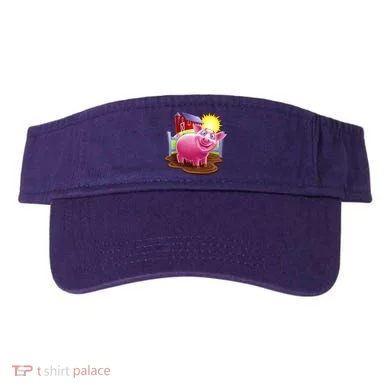 Visor