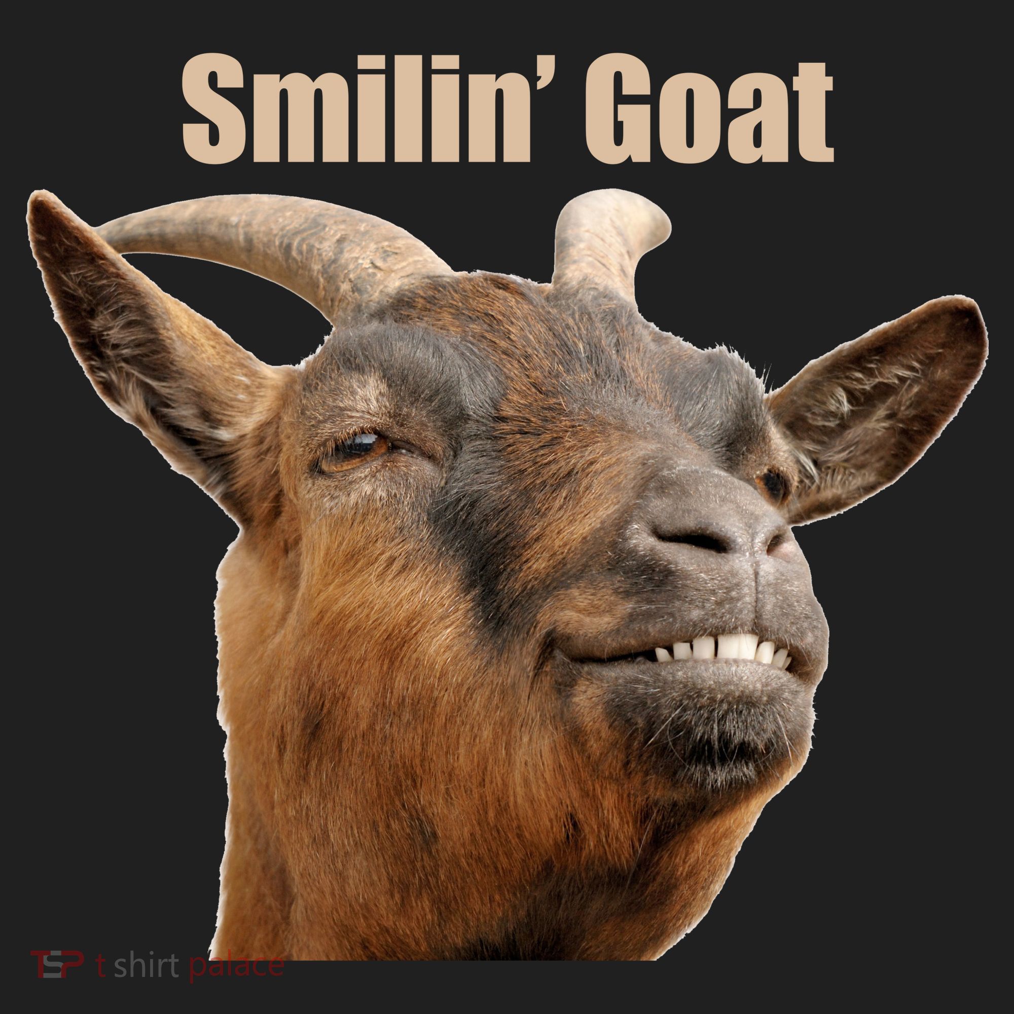 Smiling Goat Funny Hat