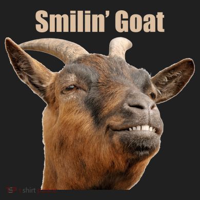 Smiling Goat Funny Plastic Christmas Ball Ornament