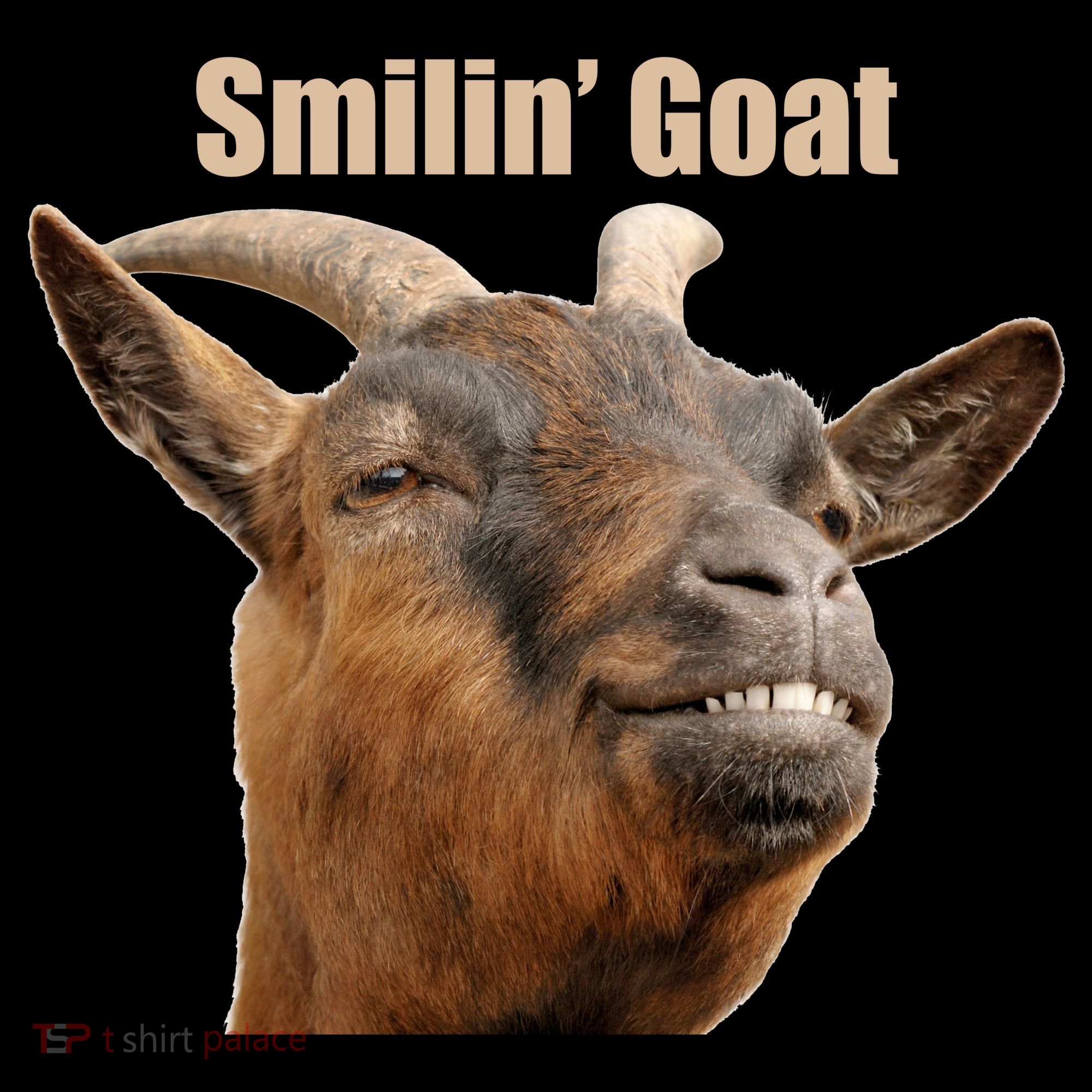 Smiling Goat Funny Kids Hoodie