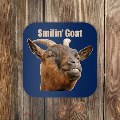 Coaster