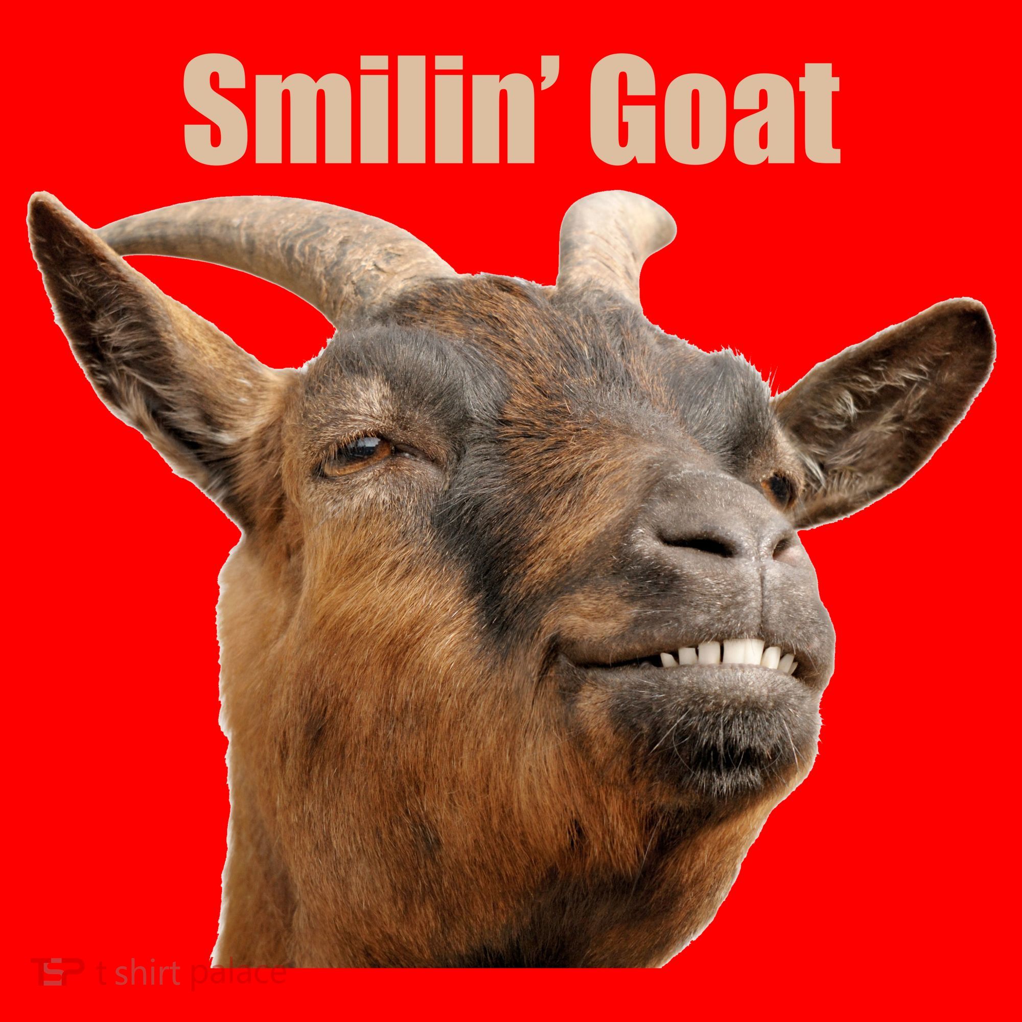 Smiling Goat Funny Santa Hat