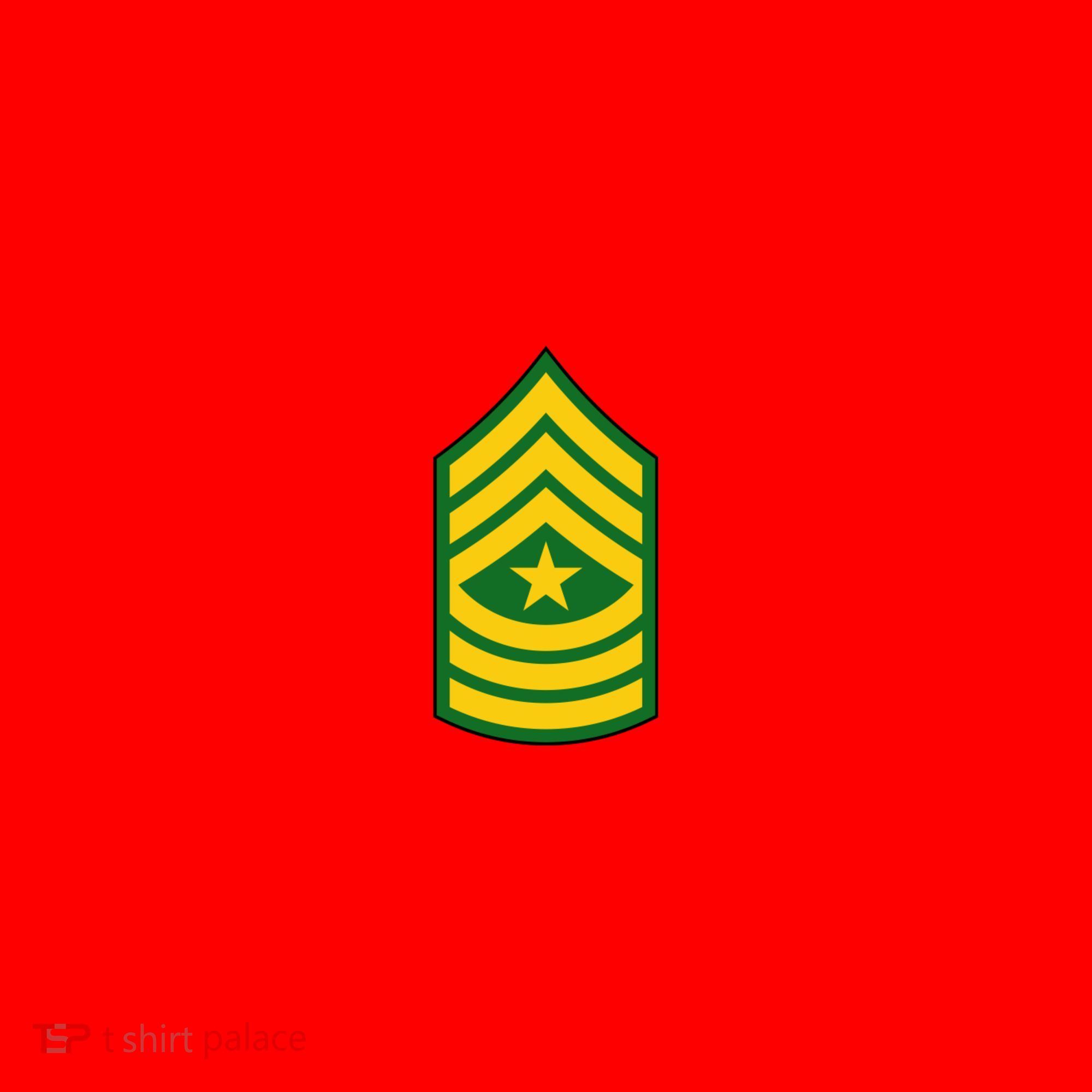 Sergeant Major Military Badge Santa Hat