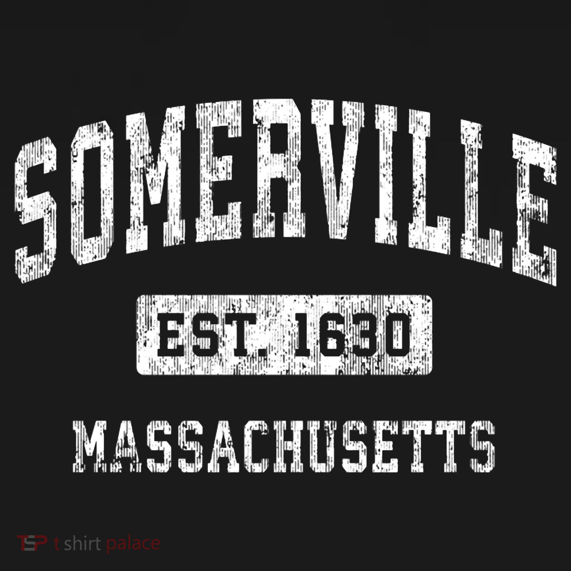 Somerville Massachusetts Ma Vintage Established Sports T-Shirt