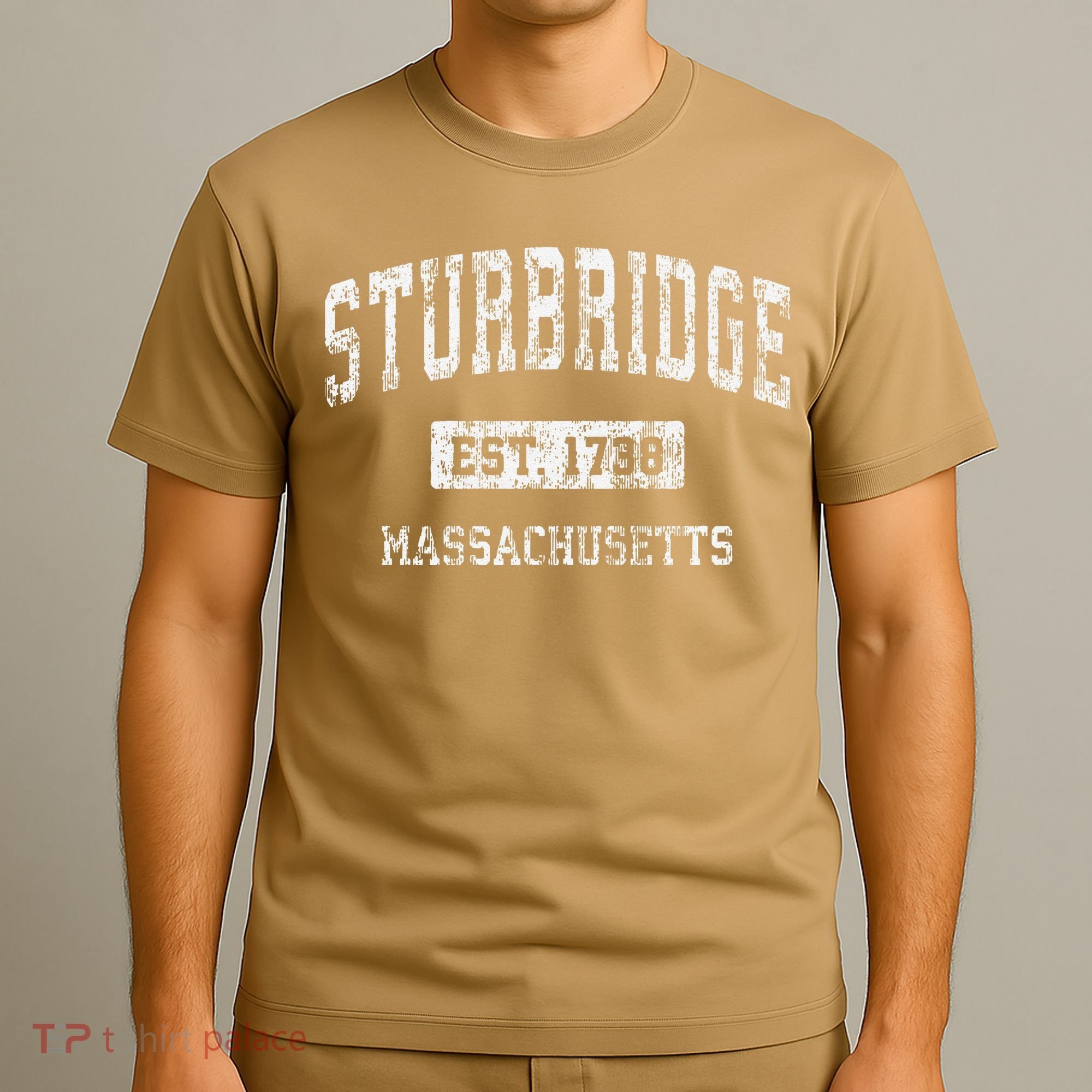 Sturbridge Massachusetts Ma Vintage Established T-Shirt