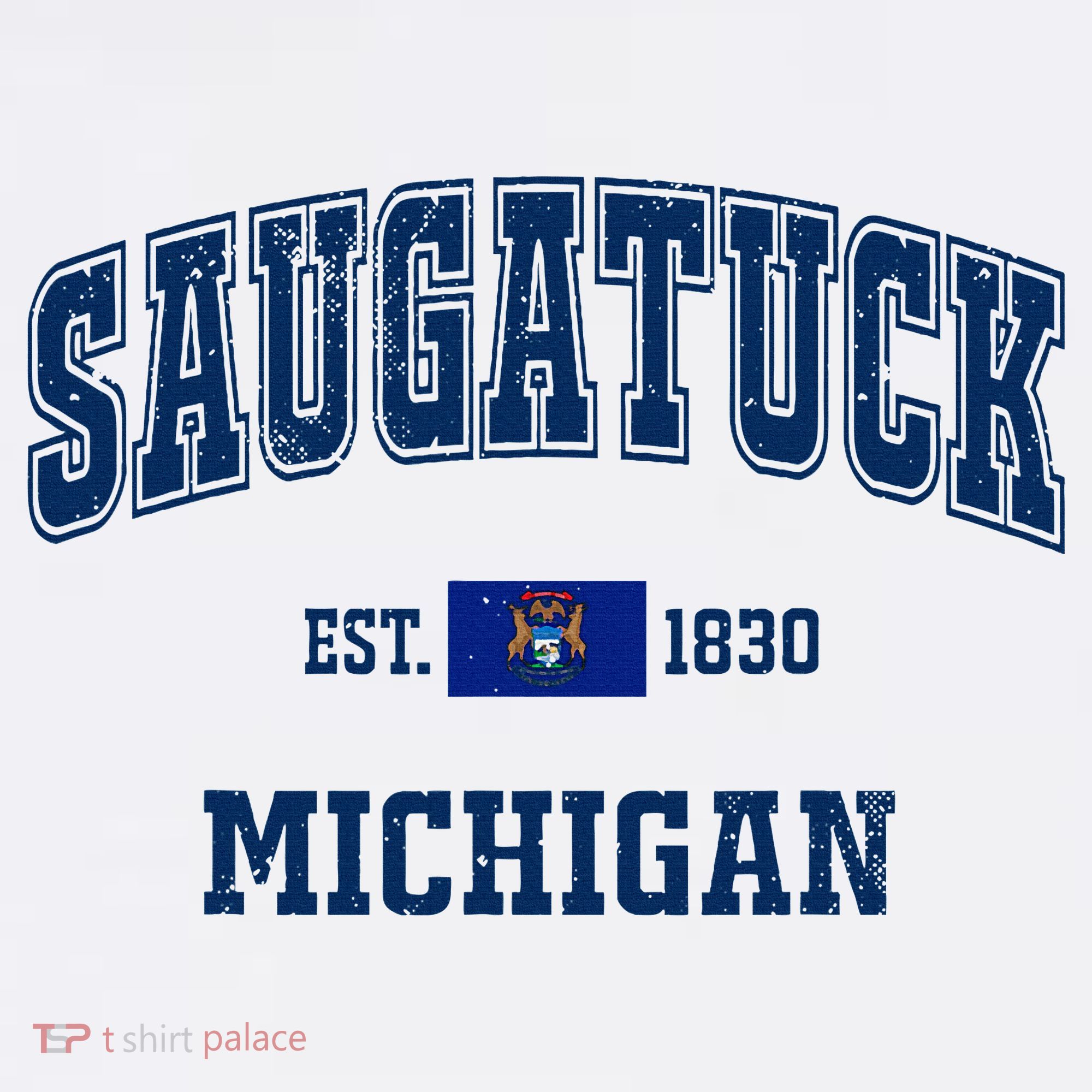 Saugatuck Michigan MI Vintage State Flag Athletic Navy T-Shirt