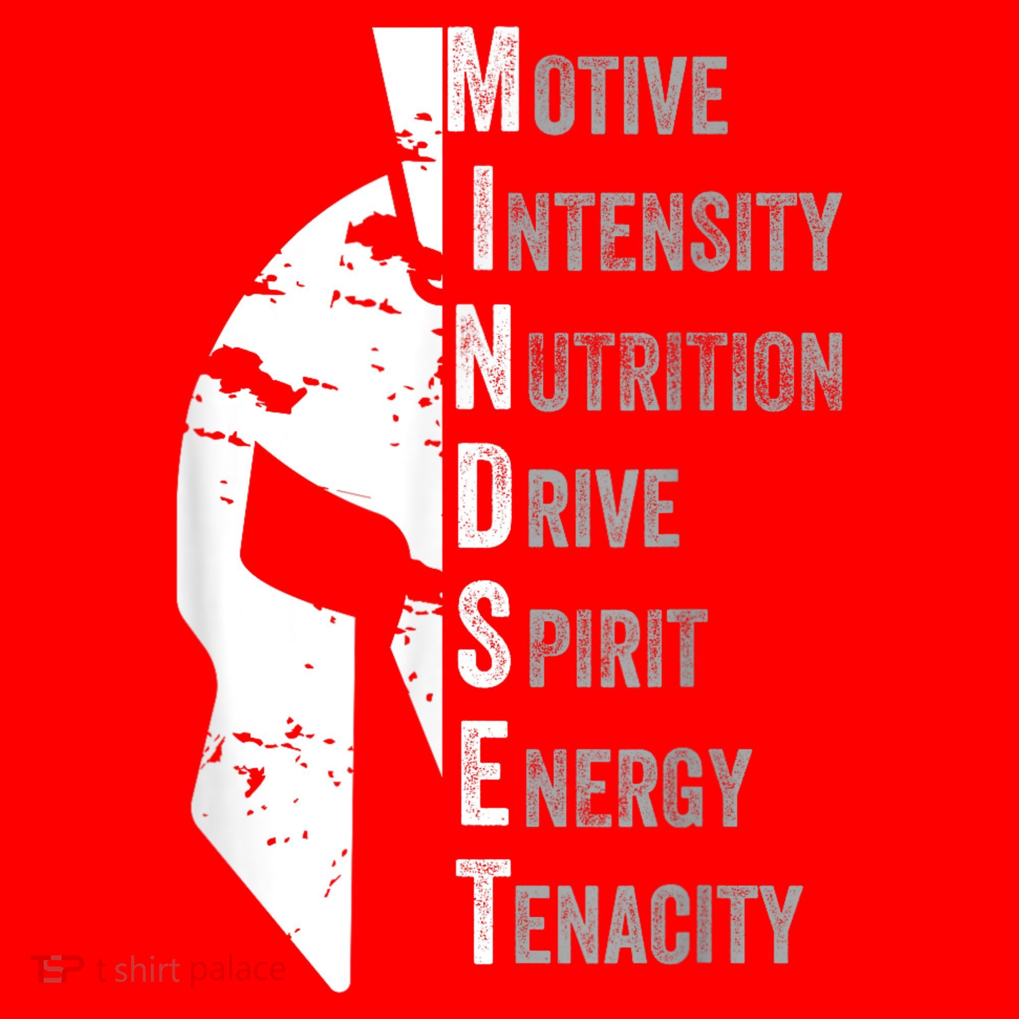 Spartan Mindset Motivational Inspirational Quote Graphic Santa Hat