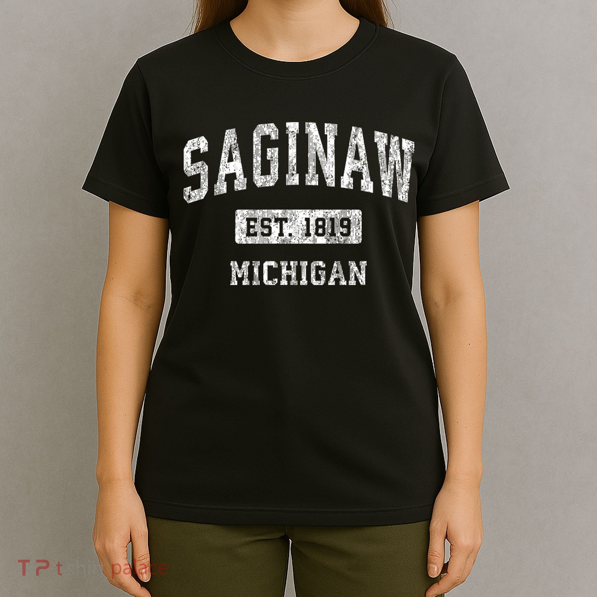 Saginaw Michigan Mi Vintage Sports T-Shirt