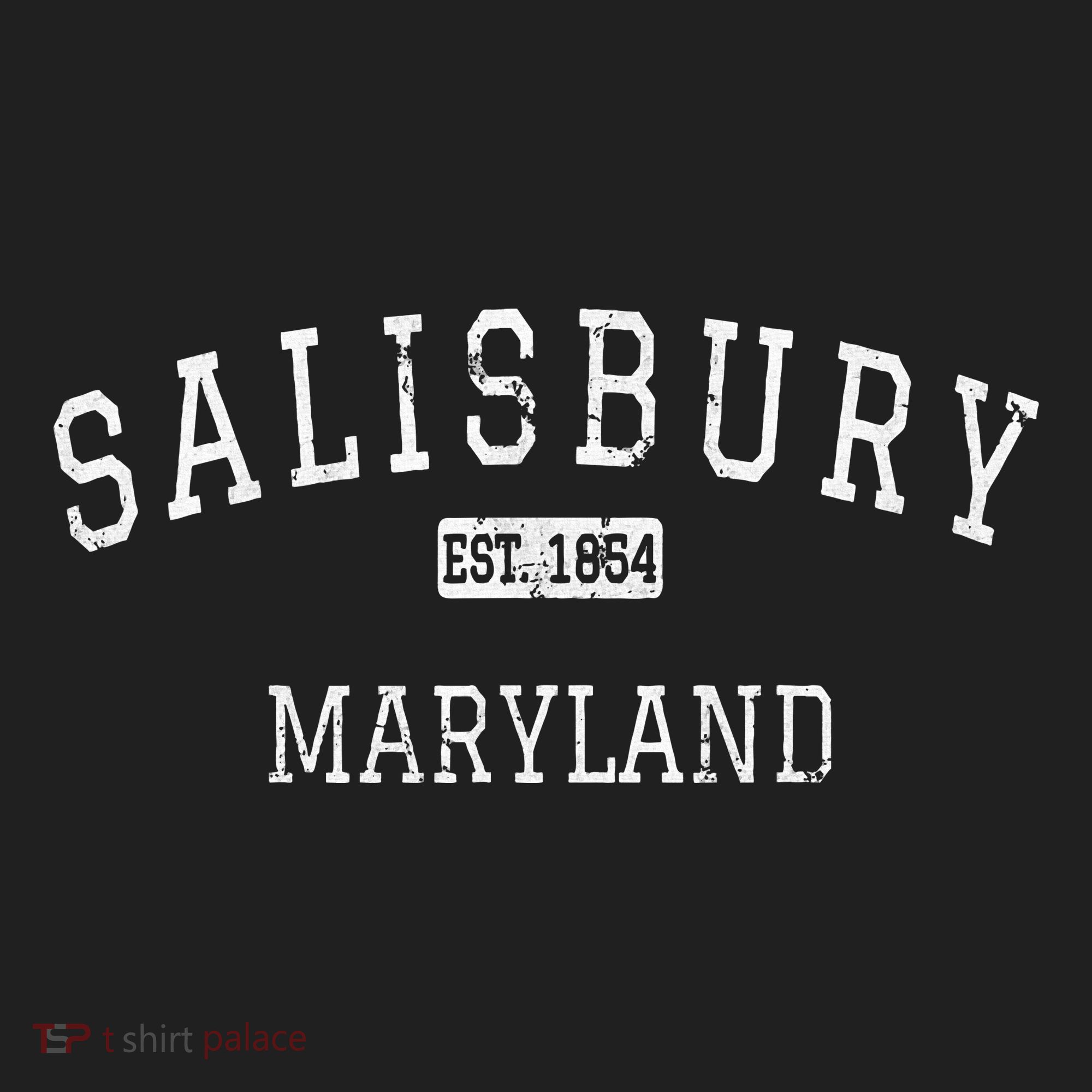 Salisbury Maryland Md Beanie