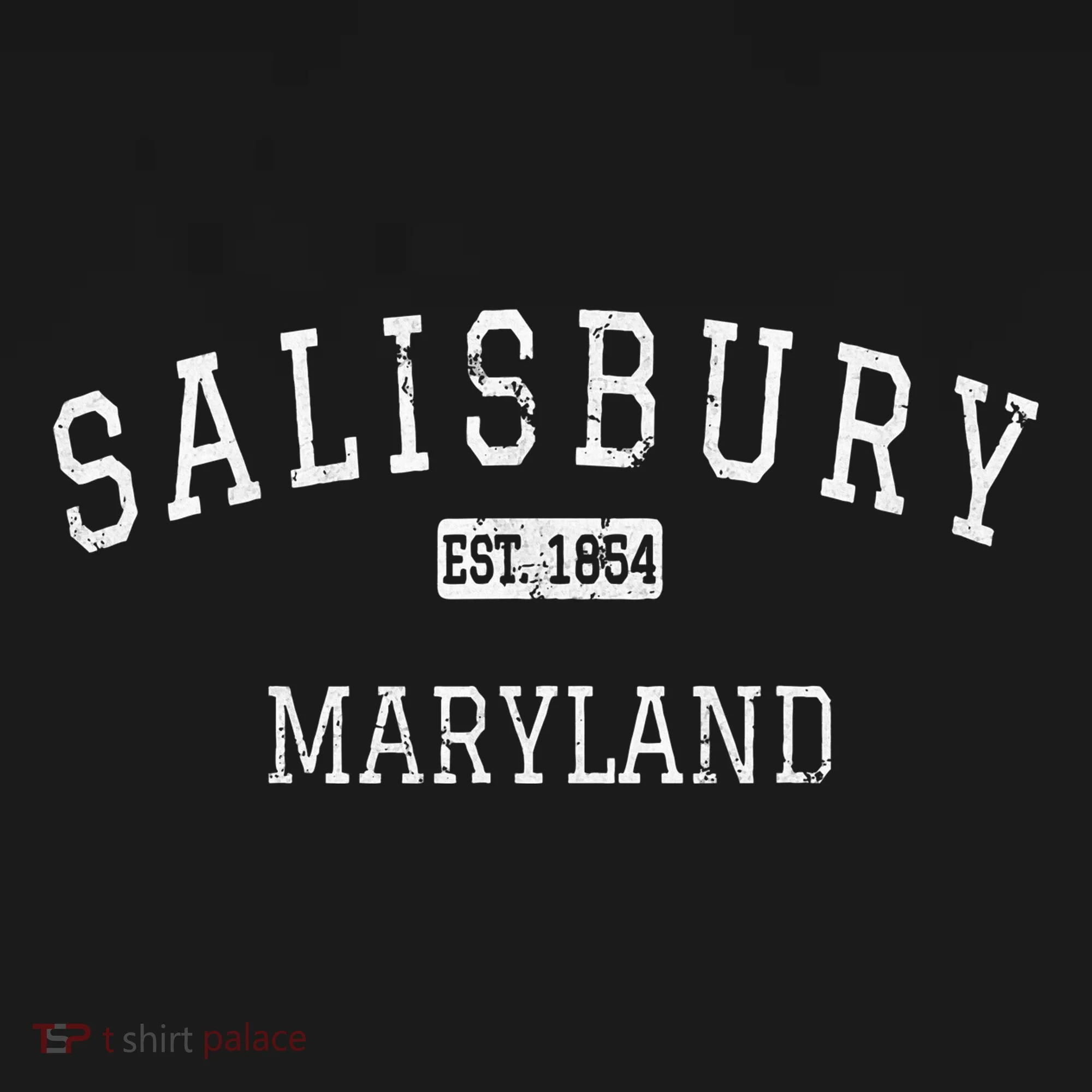 Salisbury Maryland Md Toddler Hoodie