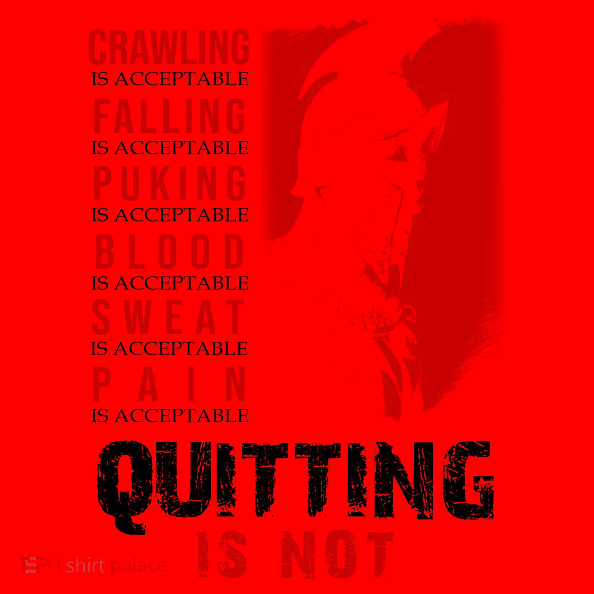 Spartan Motivational Quote Santa Hat