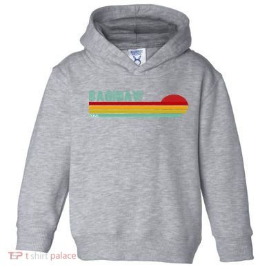 Saginaw Michigan Toddler Hoodie