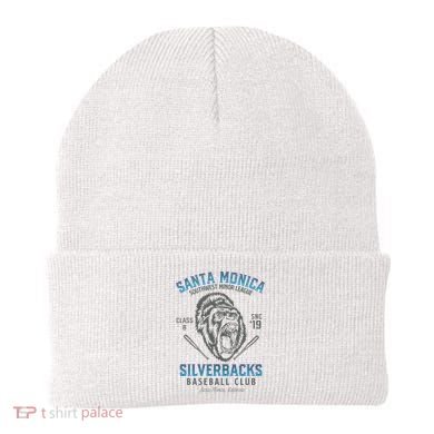 Santa Monica Silverbacks Minor League Retro Baseball Team Beanie
