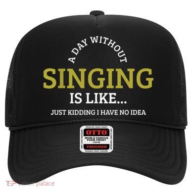 Singing Music Singer Hat