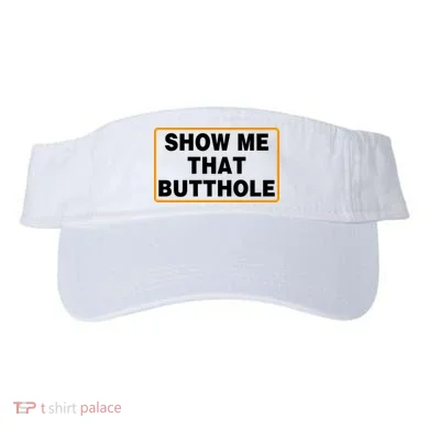 Visor