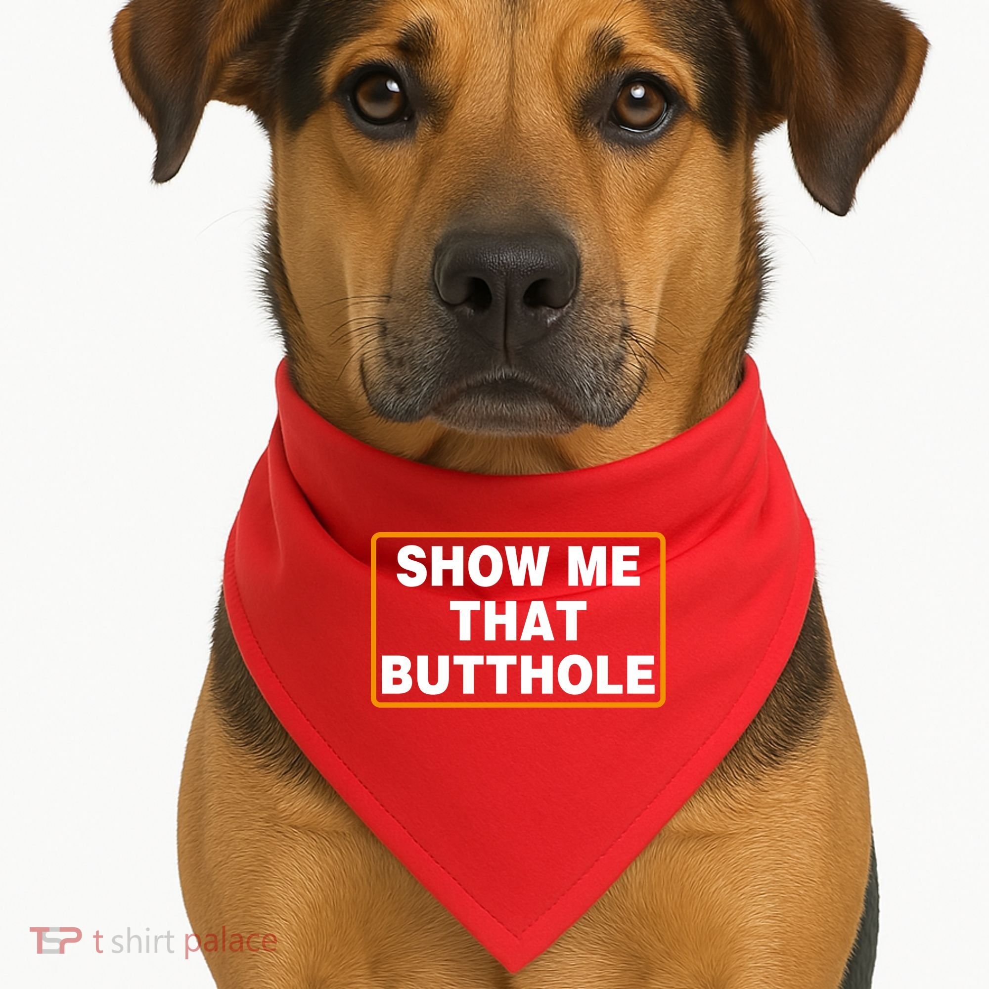 Show Me That Butthole USA-Made Doggie Bandana