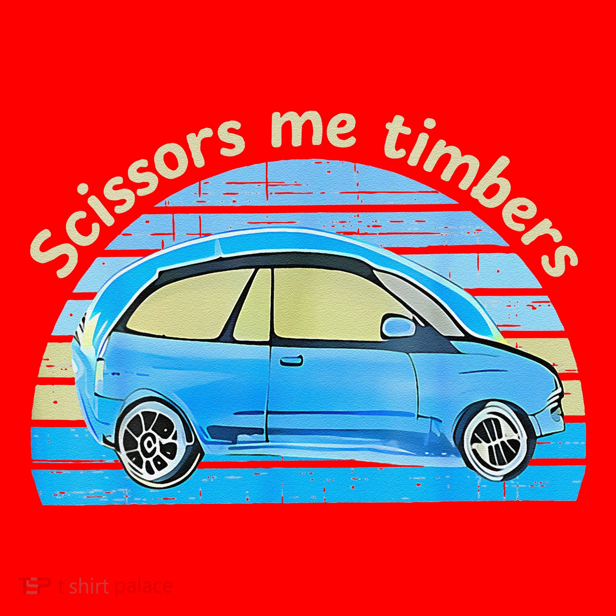 Scissors Me Timbers Funny Car Santa Hat