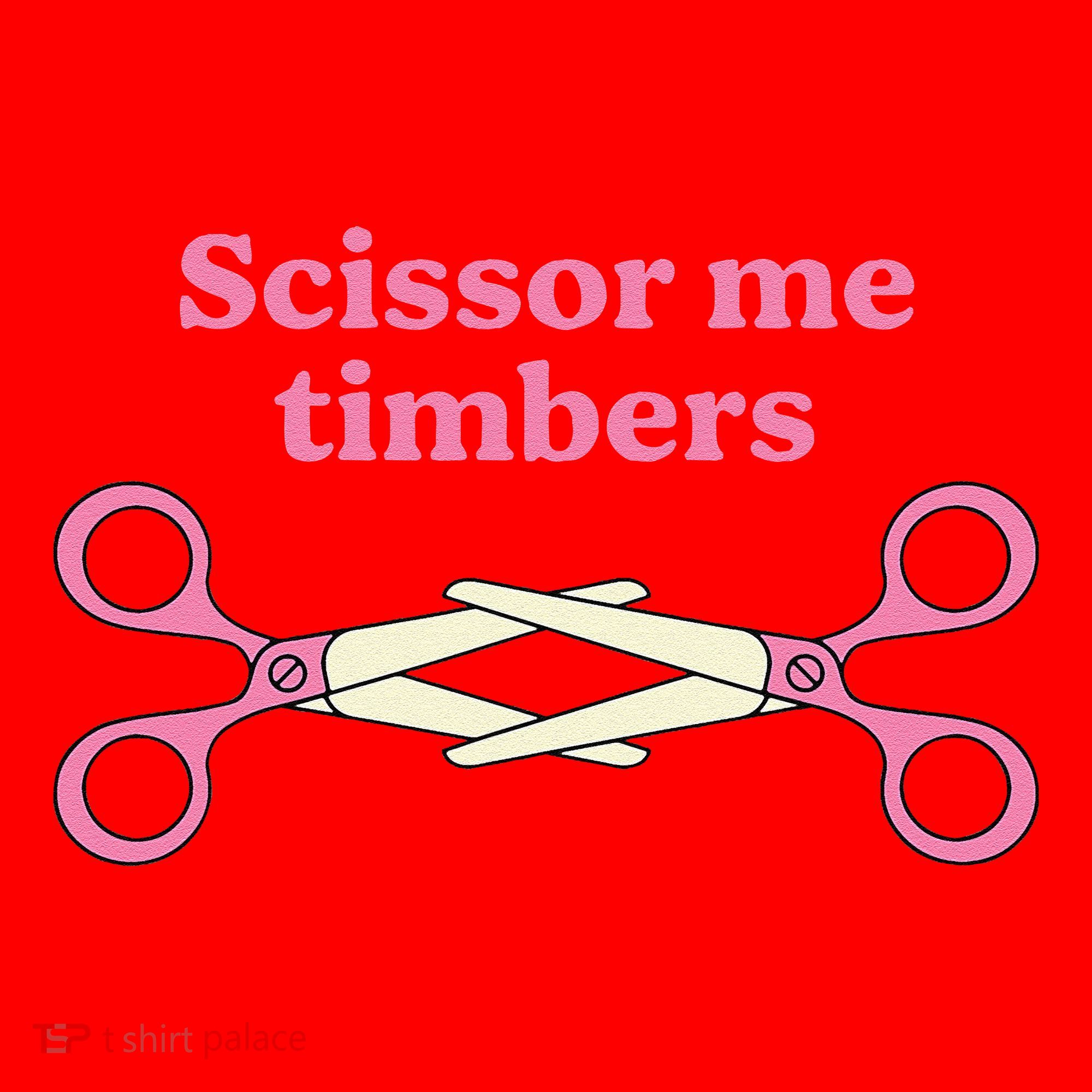 Scissor Me Timbers Santa Hat