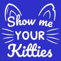 Show Me Your Kitties Dirty Cat Pun Gift T-Shirt thumb 7