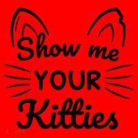 Show Me Your Kitties Dirty Cat Pun Gift Santa Hat thumb 1