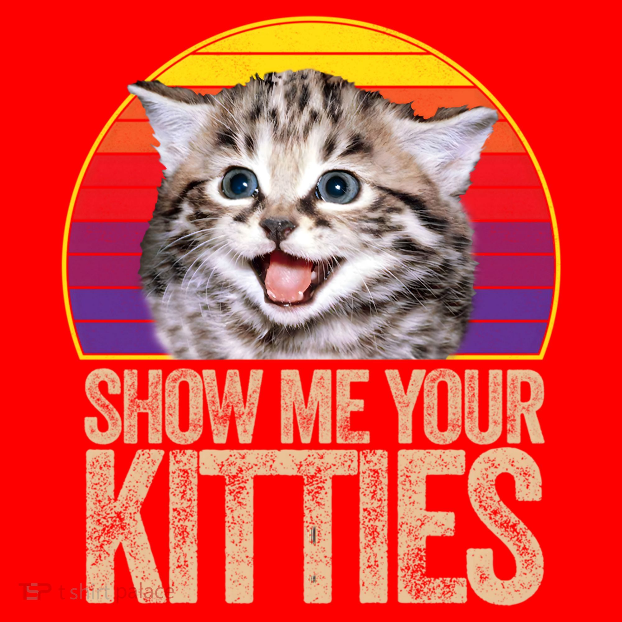 Show Me Your Kitties Great Gift Santa Hat