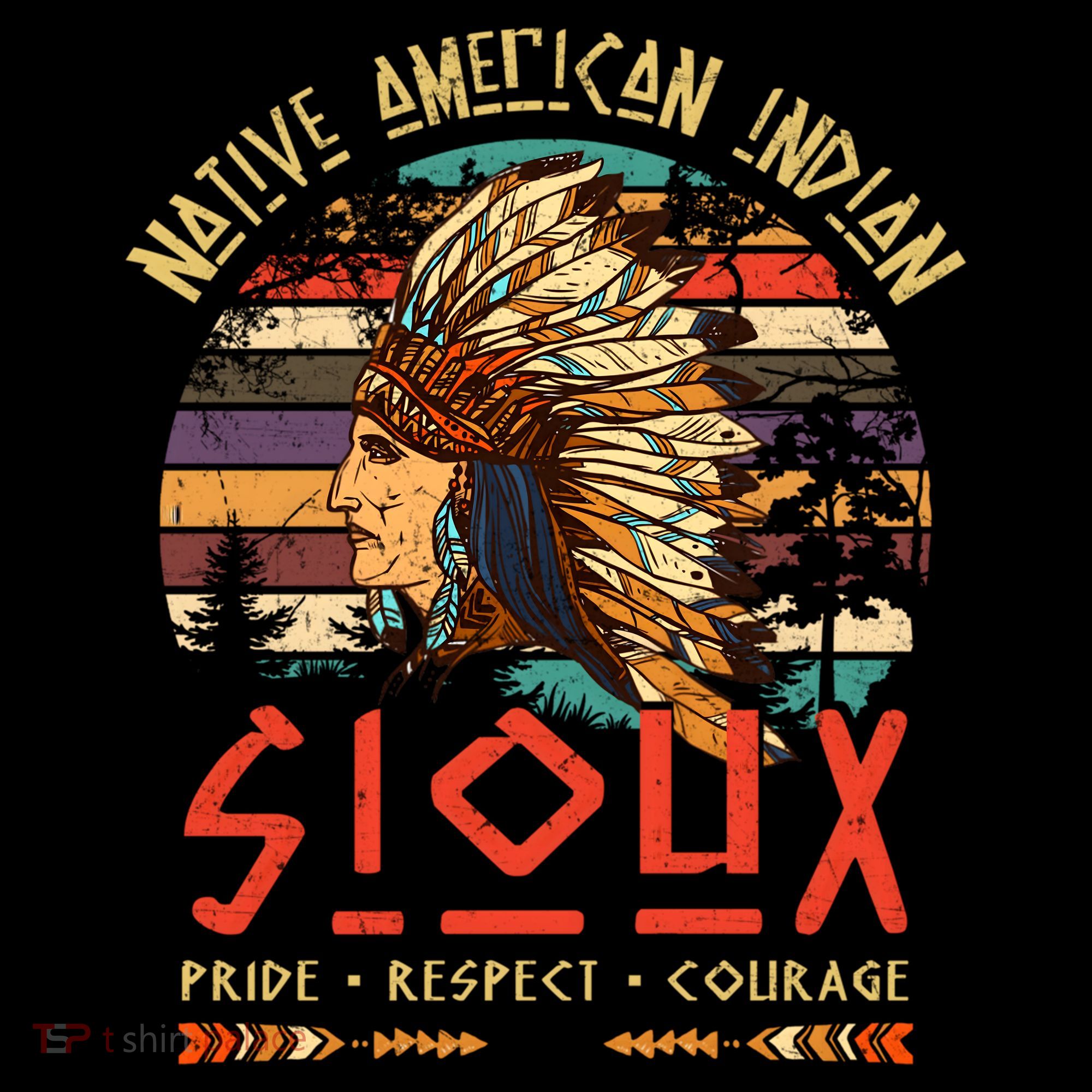 Sioux Native American Indian Pride Indigenous Tribe Cool Gift Women's Hoodie