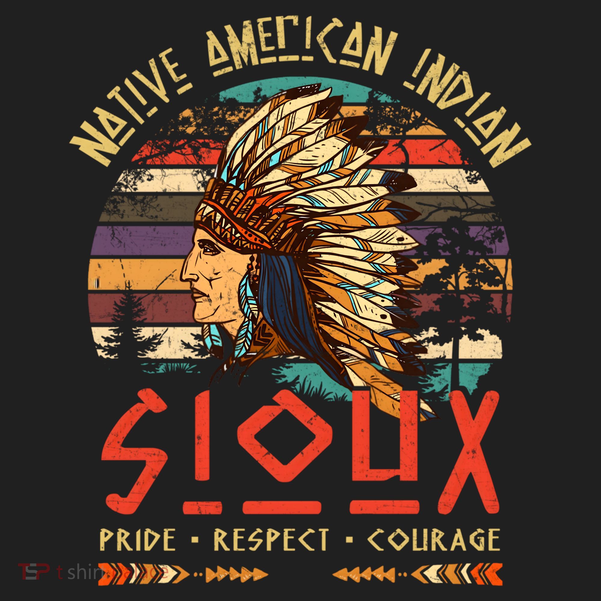 Sioux Native American Indian Pride Indigenous Tribe Cool Gift Hat