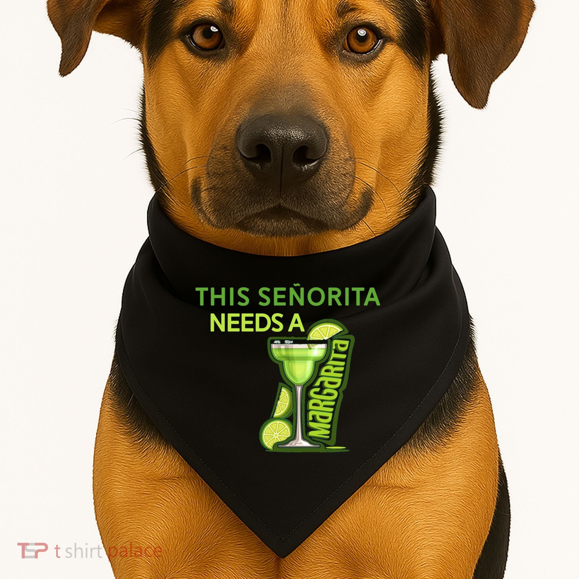 Señorita Needs A Margarita Cinco De Mayo Drinking Fiesta USA-Made Doggie Bandana
