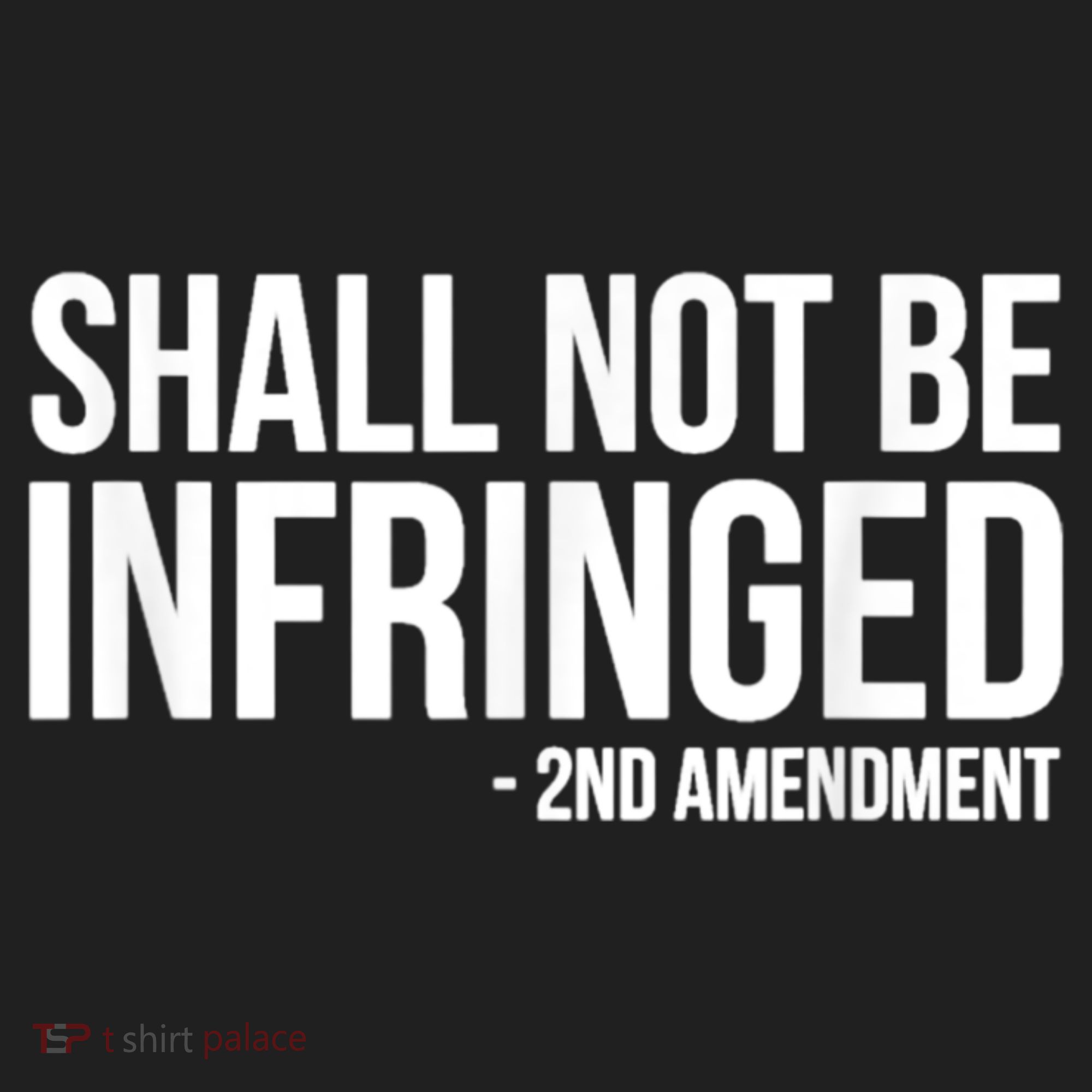 Shall Not Be Infringed 2nd Amendment Rights Beanie