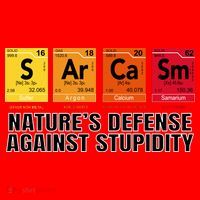 Sarcasm Natures Defense Against Stupidity Santa Hat thumb 1