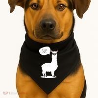 Sup No Drama Llama Alpaca USA-Made Doggie Bandana thumb 1