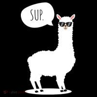Sup No Drama Llama Alpaca Coaster thumb 2