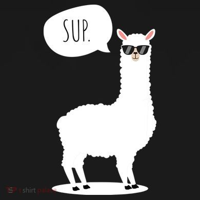 Sup No Drama Llama Alpaca Tall Sweatshirt
