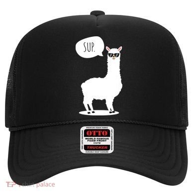 Sup No Drama Llama Alpaca Hat
