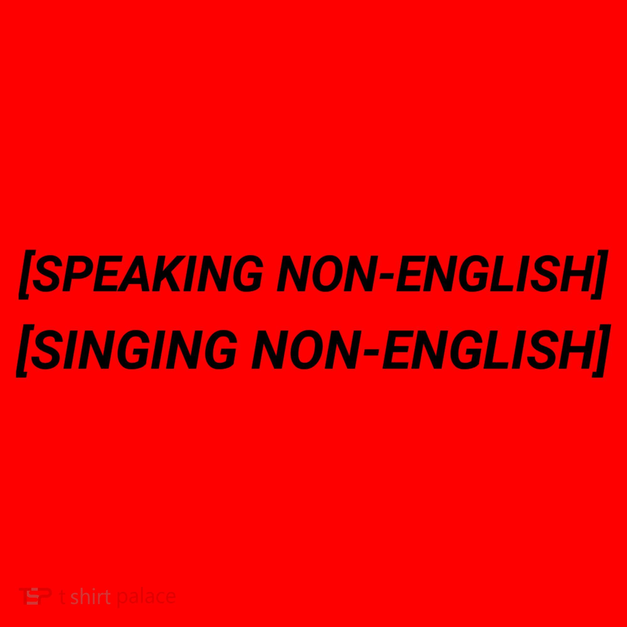 Speaking Non English, Singing Non English Santa Hat