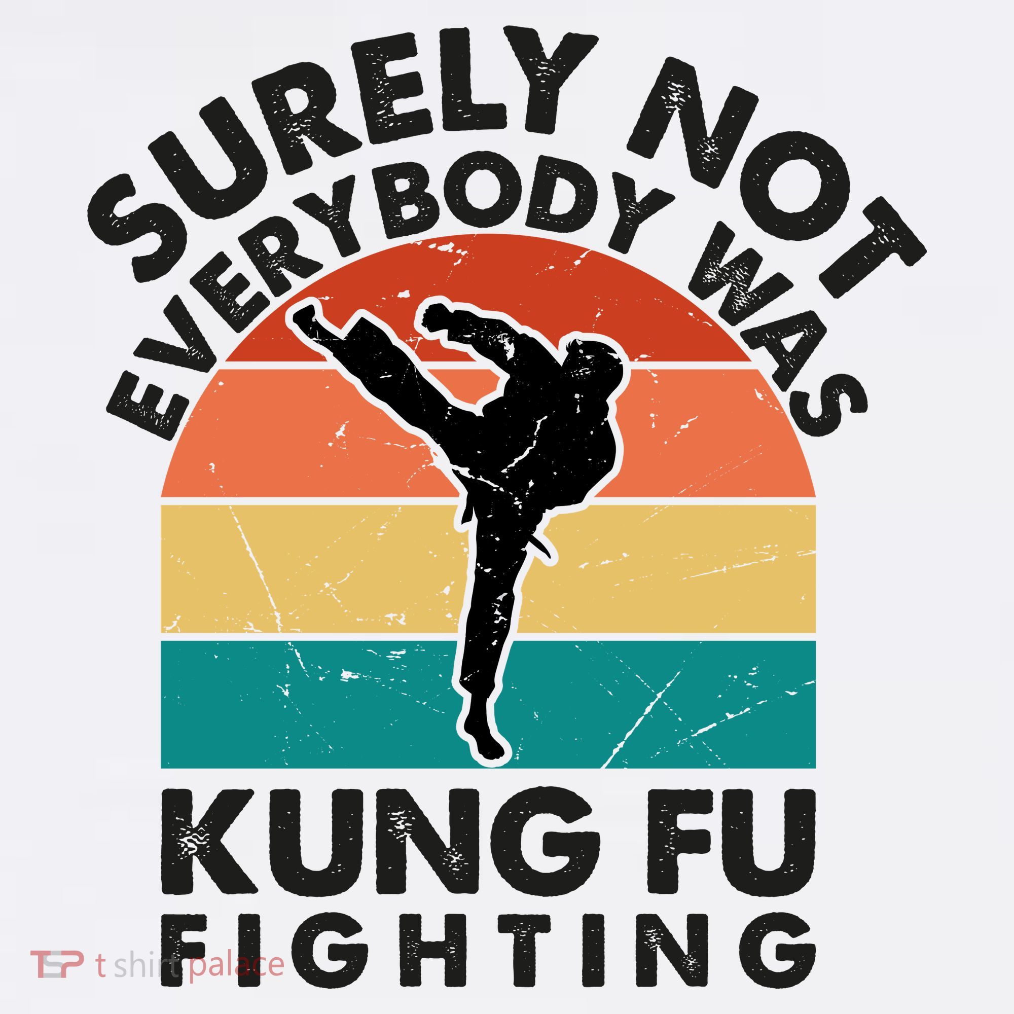 Surely Not Everybody Was Kung Fu Fighting Shirt Funny Shirts Karate Martial Arts Women's Hoodie