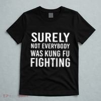 Surely Not Everybody Was Kung Fu Fighting T-Shirt thumb 5