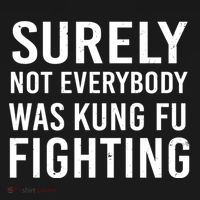 Surely Not Everybody Was Kung Fu Fighting Women's Hoodie thumb 2