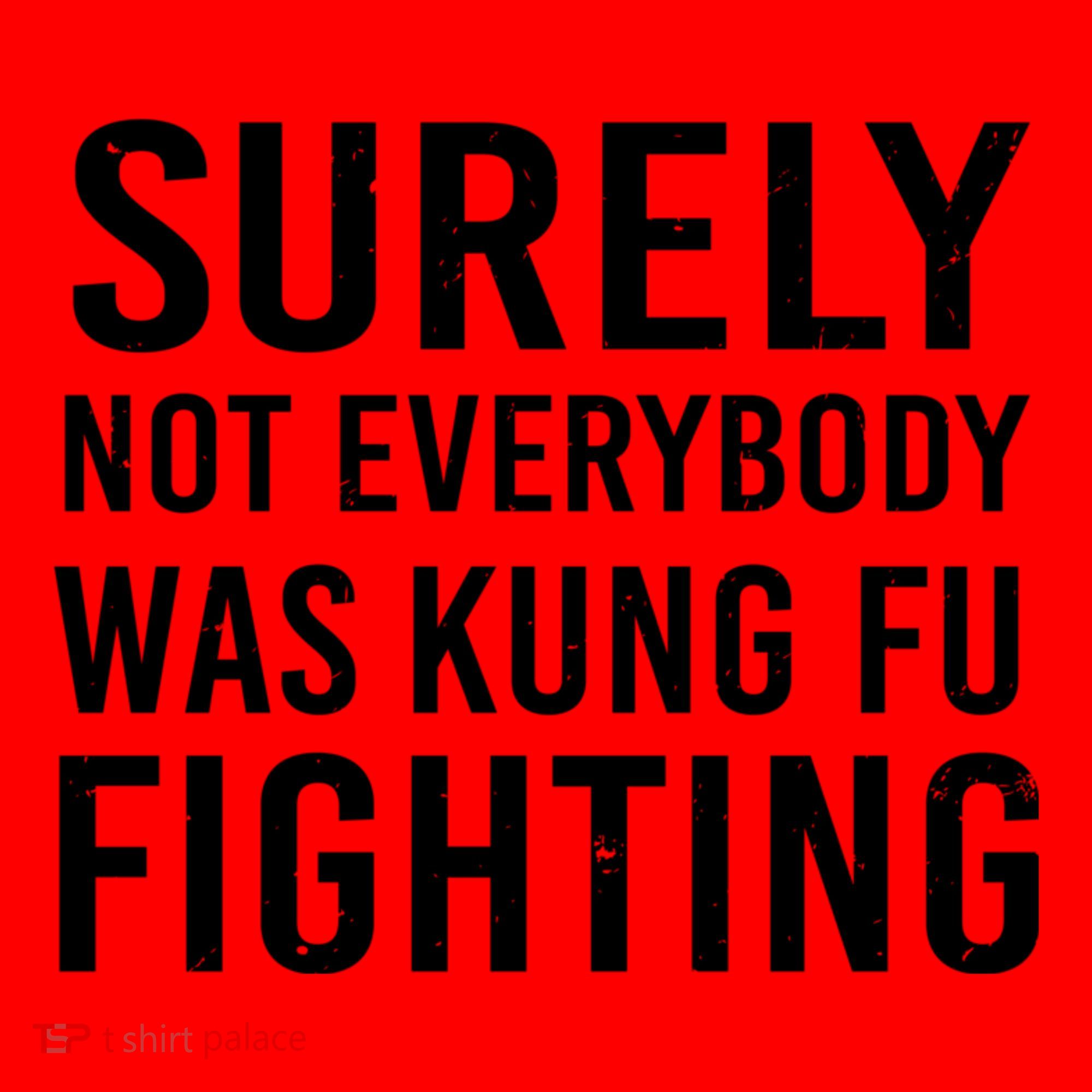 Surely Not Everybody Was Kung Fu Fighting Santa Hat