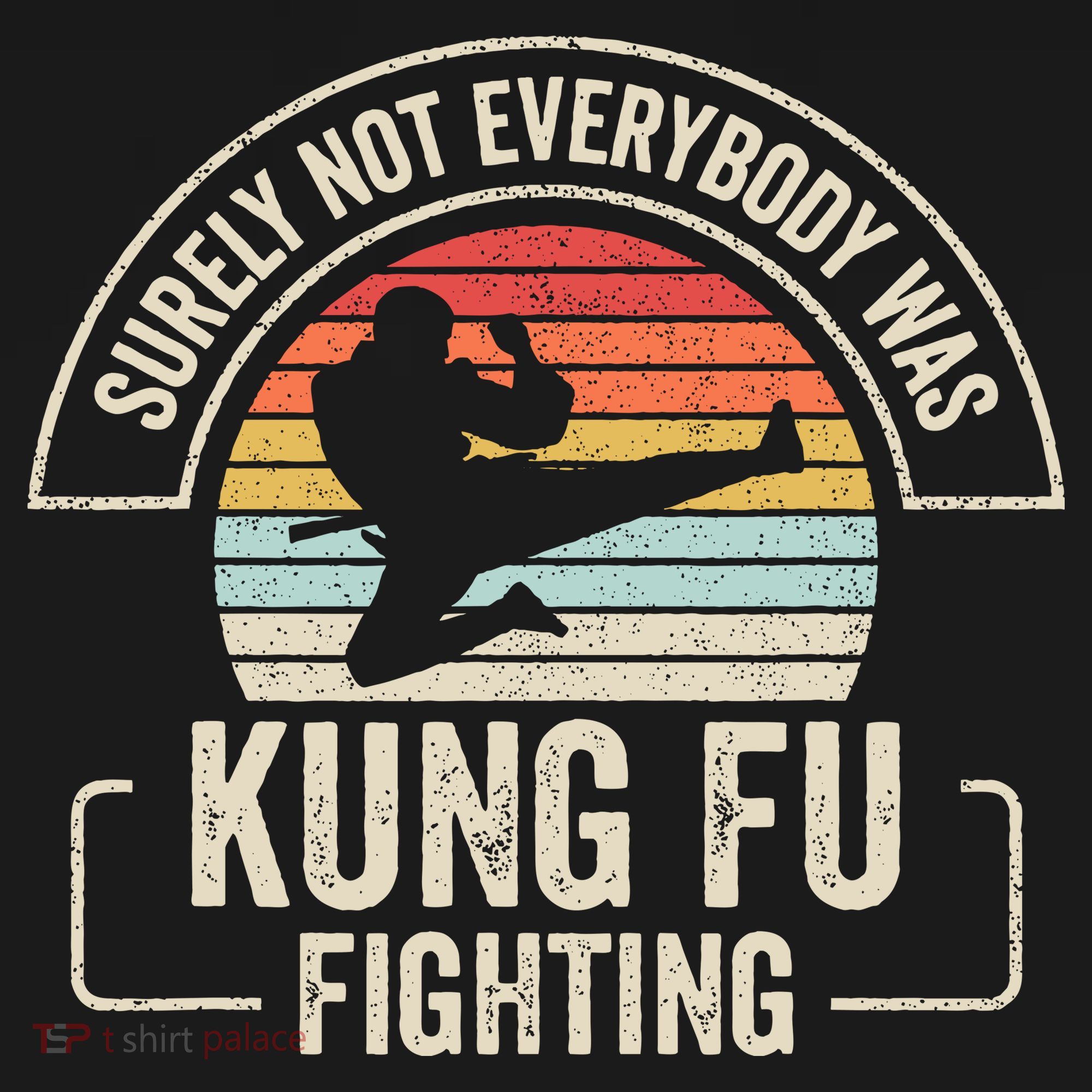 Surely Not Everybody Was Kung Fu Fighting Vintage T-Shirt