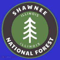 Shawnee National Forest Illinois Il Tree Badge Gift Tank Top thumb 6