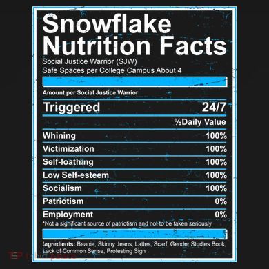 Snowflake Nutrition Facts Flexfit Unipanel Trucker Cap