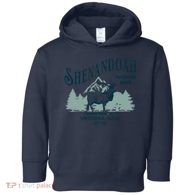 Toddler Hoodie