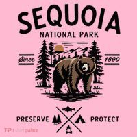 Sequoia National Park Grizzly Bear Camping California 1890 Coaster thumb 2