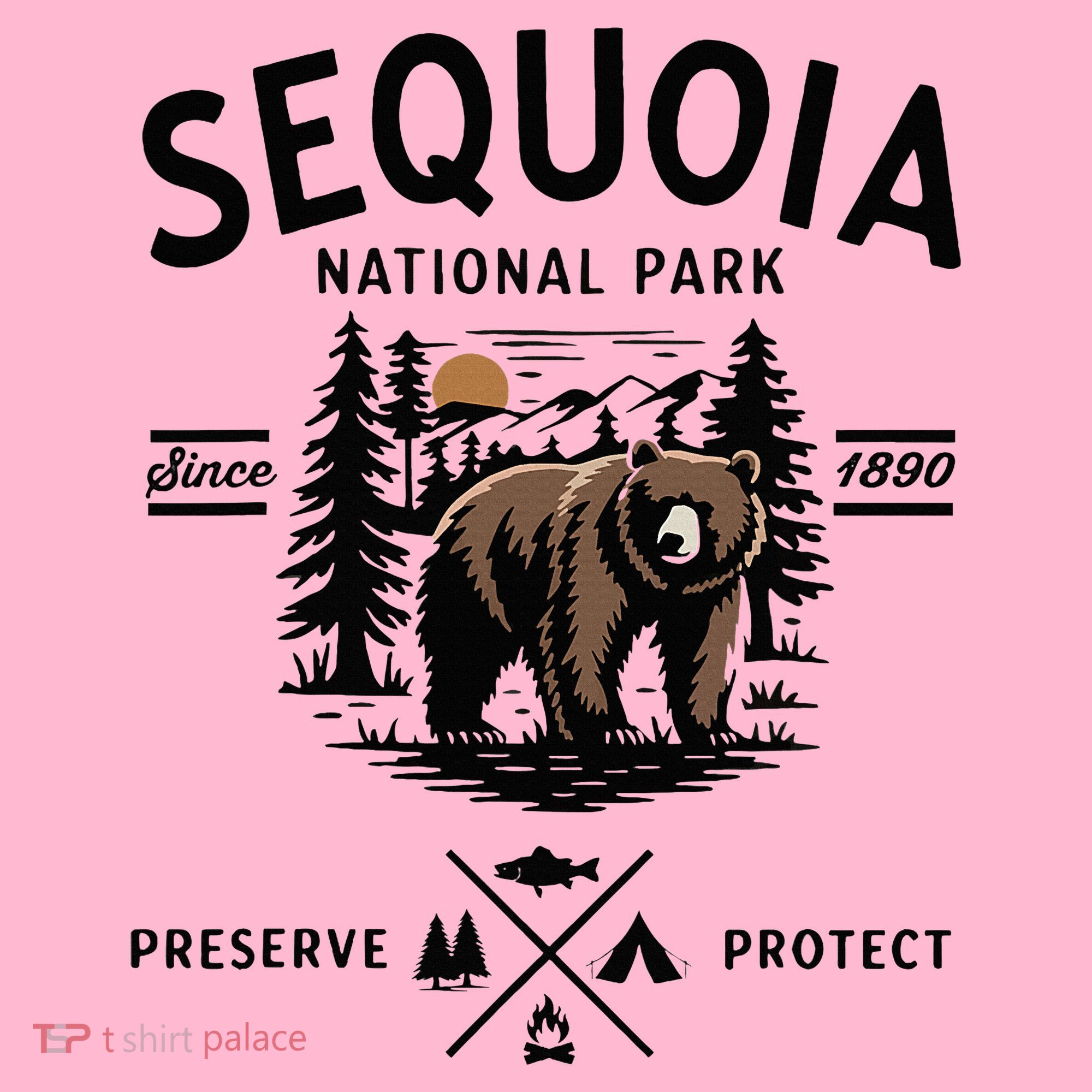 Sequoia National Park Grizzly Bear Camping California 1890 Coaster